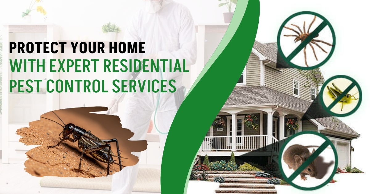 Protect Your Home with Expert Residential Pest Control Services | Novix Pest Control